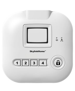 HU-100-Internet Hub