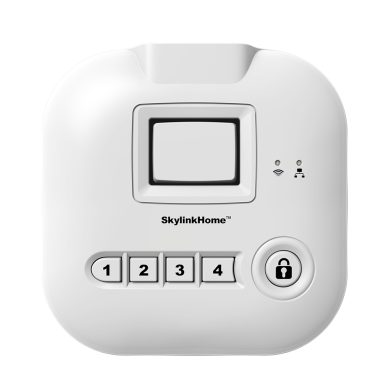 HU-100-Internet Hub